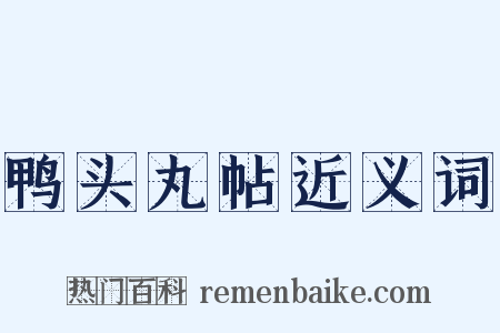 鸭头丸帖近义词是什么意思的图片